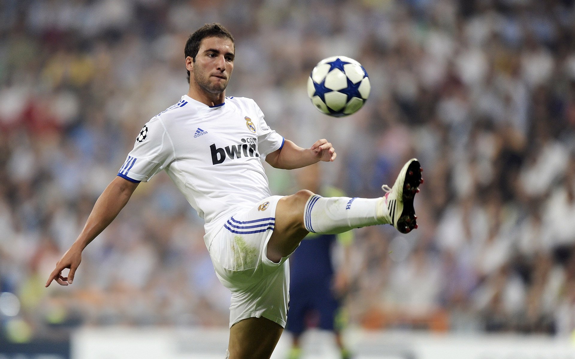 世界杯中国女足战胜 球迷激情澎湃，中国足球女足世界杯